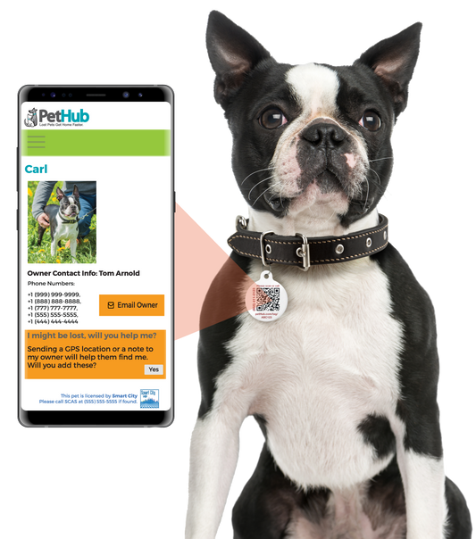 PetHub QR Pet ID Tag – Classic Aluminum