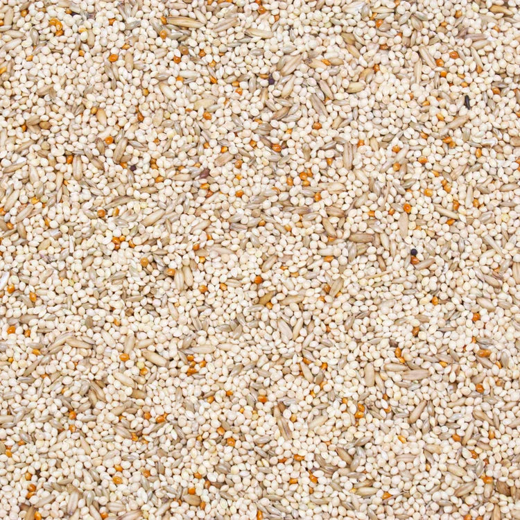 Higgins Supreme Finch Food 50 lbs. Natural Seed Blend for Healthy Birds