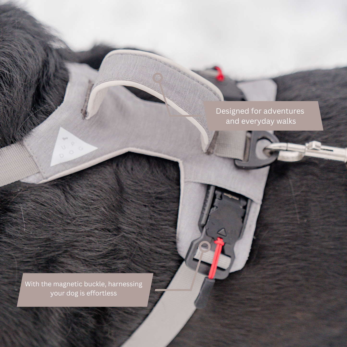 Arnés magnético para perros con asa - Fácil de poner, diseño sin tirones
