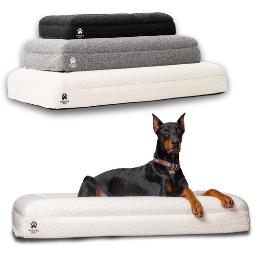 Cama Ortopédica de Lujo para Perros